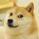 warrobotdoge