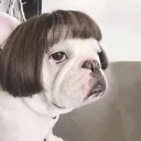 vermi5