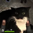 hugestmeats