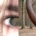 avatar eyes made of emerald