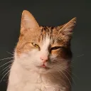 bossassbirch