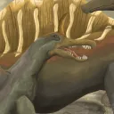 kefkorr