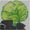 cabbage_891