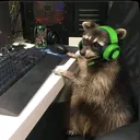 krash1t