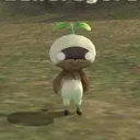 ohmi_senpai