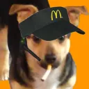 robertim_
