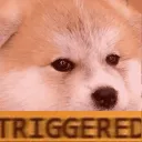 code_doge