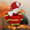 avatar FireDuckz