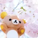 nyanyaa77