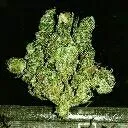 ganjaman_42o