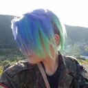 mikadosan