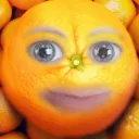 dahsharky