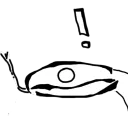 samppwli