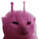 kurbey