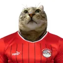 cendanista
