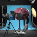 brainsbug