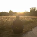 dysnome