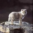 pixmaseb