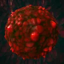 cranberry_king