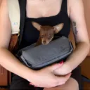 alyssa88_