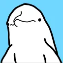 dol_phin