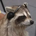 zerolix