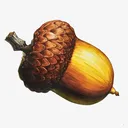 nutsfornuts