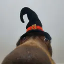 tlrusty