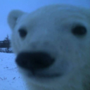 avatar diegoflores31