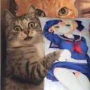 .rikk