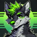 feroxsr