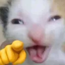 creo_mercurief