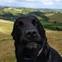 choccz