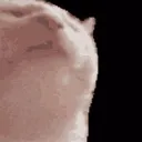 skaarj3