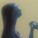.nica