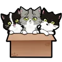 galina_mooncat