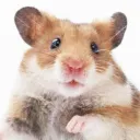 justmouse