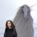 drmrjulio