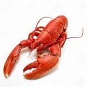 iamlobster