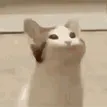 thebwan
