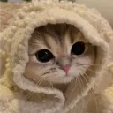 leonfull