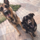 justsomeamateur#3611's avatar