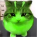 moshiboi