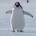 penguinsthedev