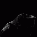 amorpheus