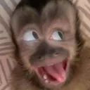 mouradd