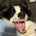 marrythenoob