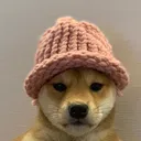 riceitlog