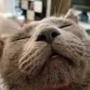 Pip