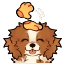 hikikopuppy